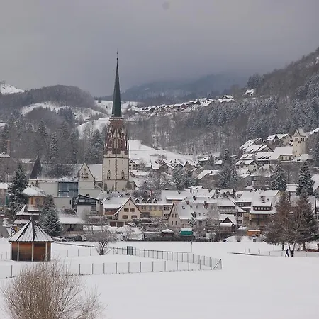 Parkhotel Sonne 3* Schönau im Schwarzwald