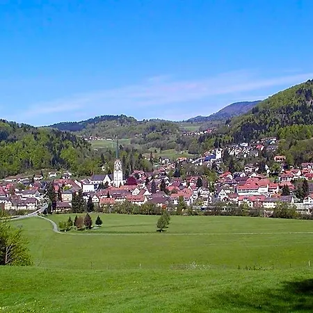 Ξενοδοχείο Parkhotel Sonne Schönau im Schwarzwald
