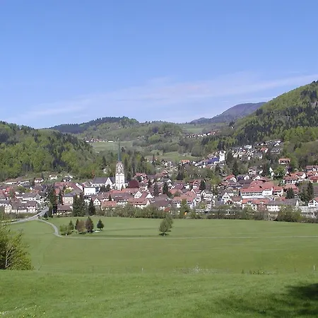 Parkhotel Sonne Schonau im Schwarzwald